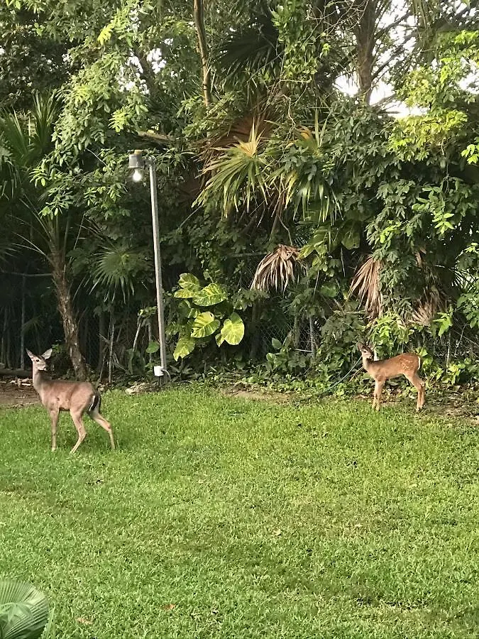 Villa Coba Playa del Carmen